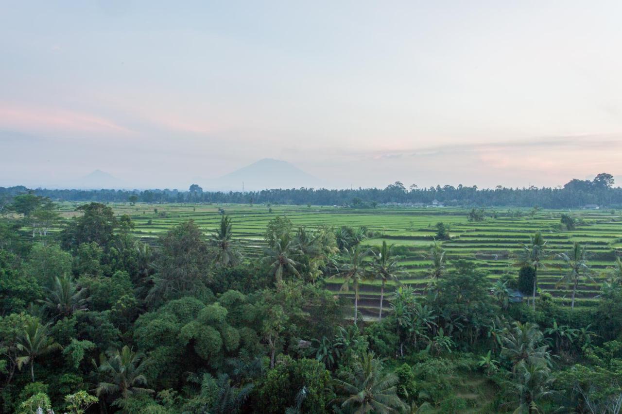 Seres Springs Resort & Spa, Singakerta Ubud  Bagian luar foto